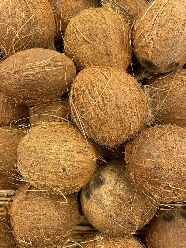 Fresh Mature Brown Coconut image 1